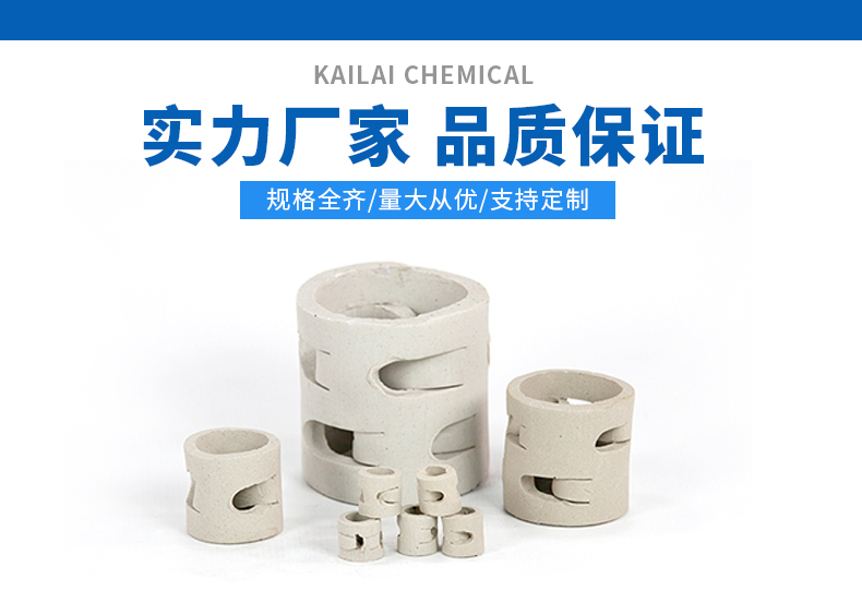 有機排氣干燥塔內部鮑爾環(huán)填料 有機排氣干燥塔內部鮑爾環(huán)填料